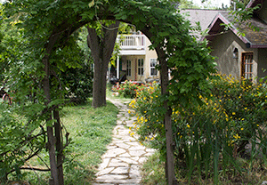 N_street_neighbors