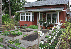 front_yard_garden