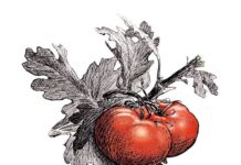 Dr. Olivia Saunders: Sovereignty and Abundance