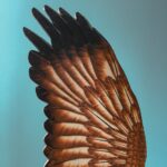 Who Do We Choose To Be? Meg Wheatley and Peter Block