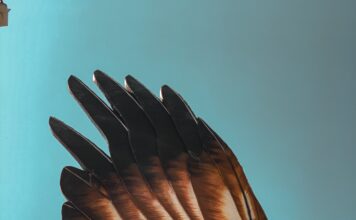 Who Do We Choose To Be? Meg Wheatley and Peter Block