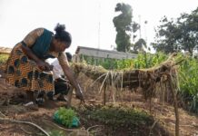 Cities Facing Climate Emergencies Need All Hands on Deck