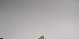 How to Achieve Belonging without Othering: A Conversation with john a. powell