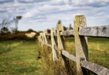 Ash Esposito: Weaving Neighbors Together in Baltimore, MD