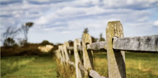 Ash Esposito: Weaving Neighbors Together in Baltimore, MD