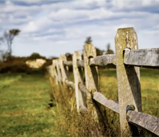 Ash Esposito: Weaving Neighbors Together in Baltimore, MD